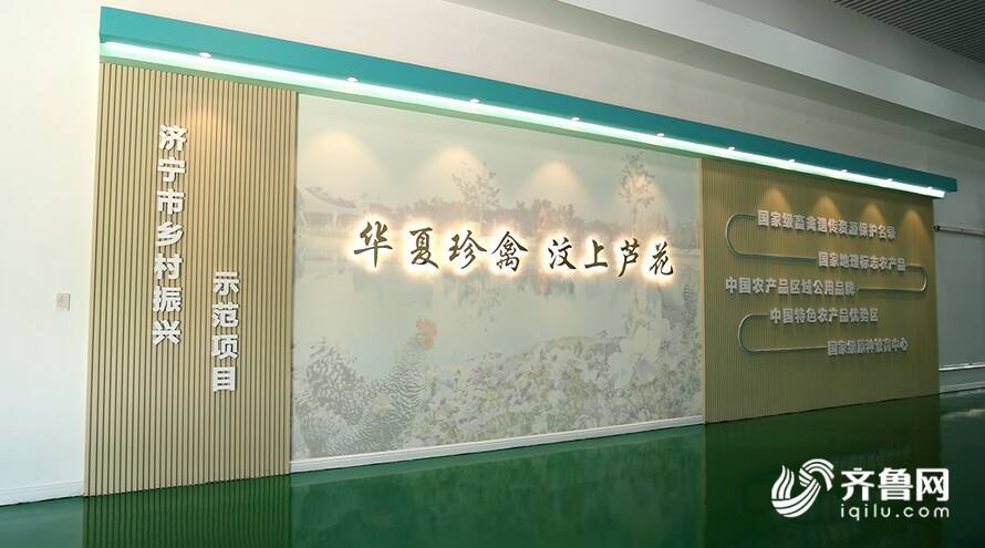【齊魯網】濟寧2022上半年重點項目巡禮：汶上蘆花雞全產業(yè)鏈標準化生產基地項目 - 副本
