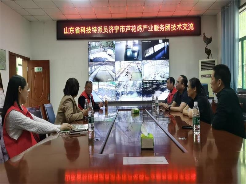 山東省科技特派員濟(jì)寧市蘆花雞產(chǎn)業(yè)服務(wù)團(tuán)開(kāi)展技術(shù)交流指導(dǎo)